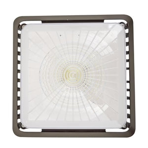Canopy lights are outdoor lighting fixtures that are specifically designed to be mounted on canopies, overhangs, and other similar structures. They are available in various types, including LED lights, which are energy-efficient and long-lasting.