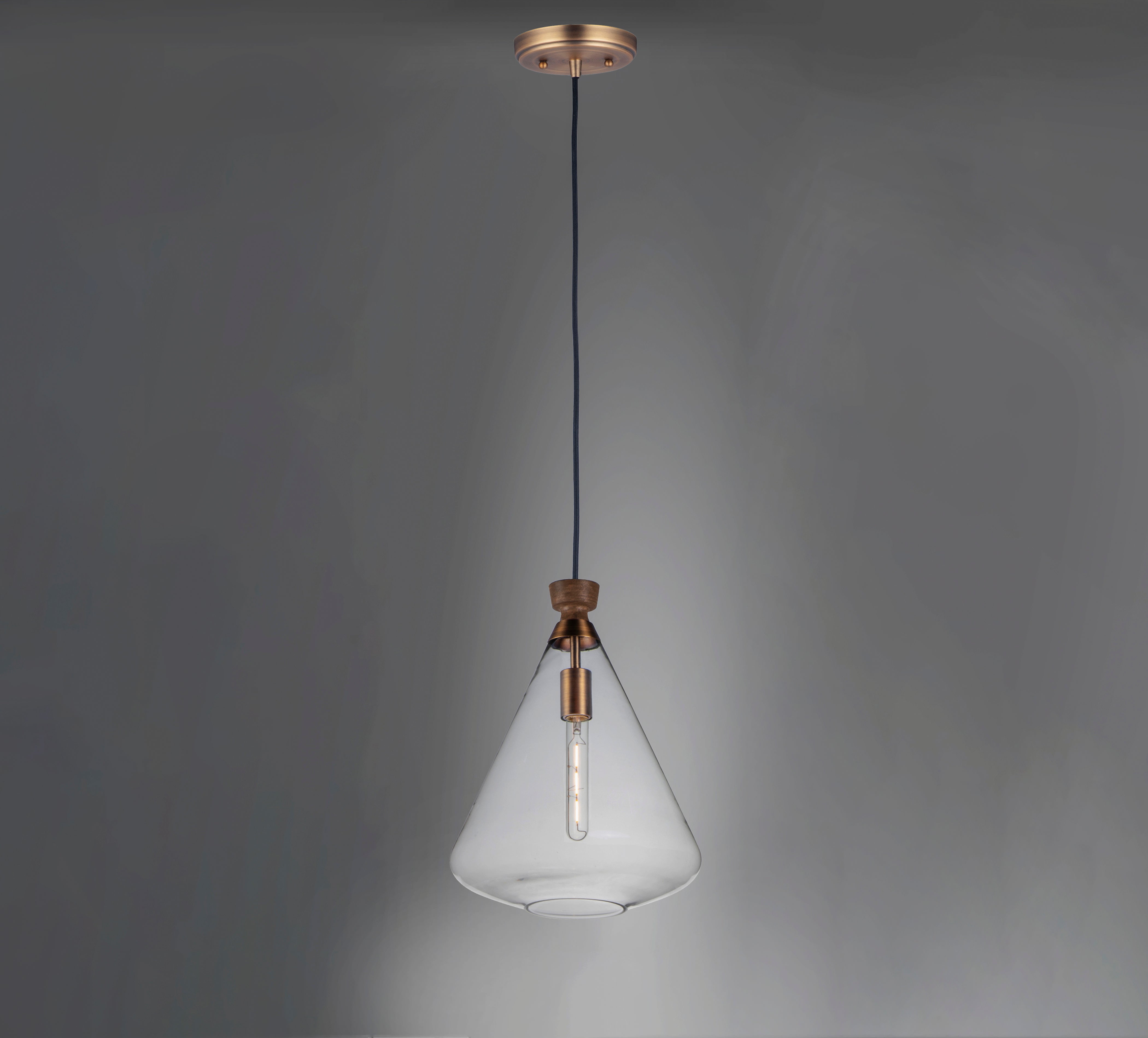 Abbott 1-Light Pendant
