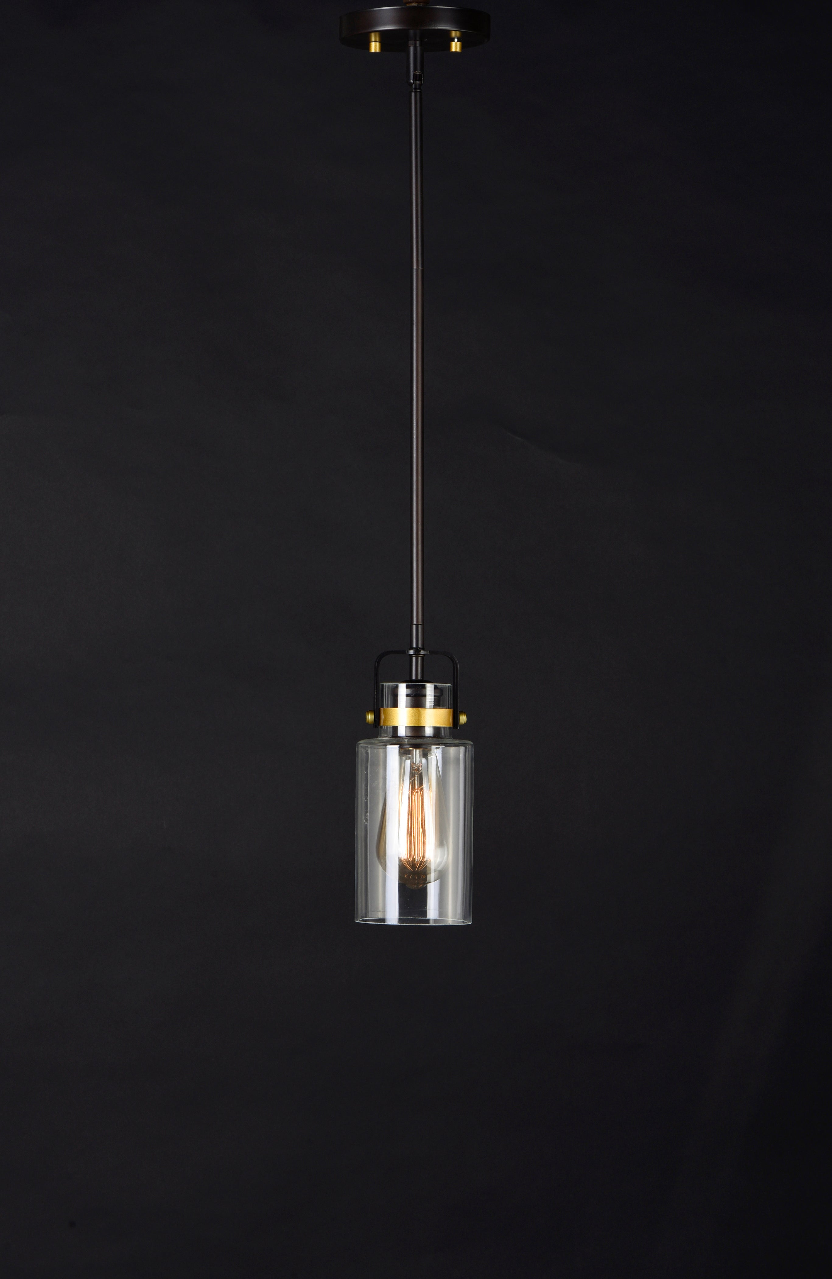 Magnolia 1-Light Mini Pendant