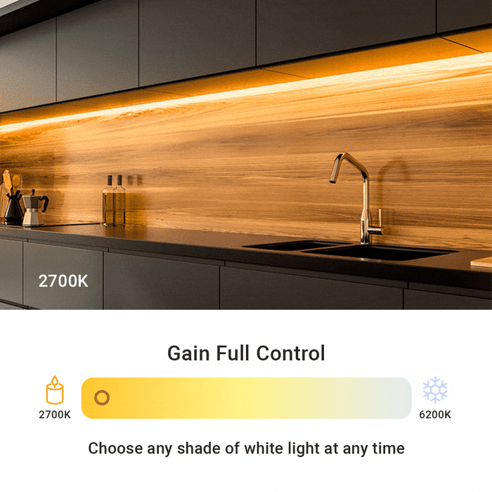 Outdoor (IP65) UltraBright™ Accent Dynamic Tunable White LED Strip Light