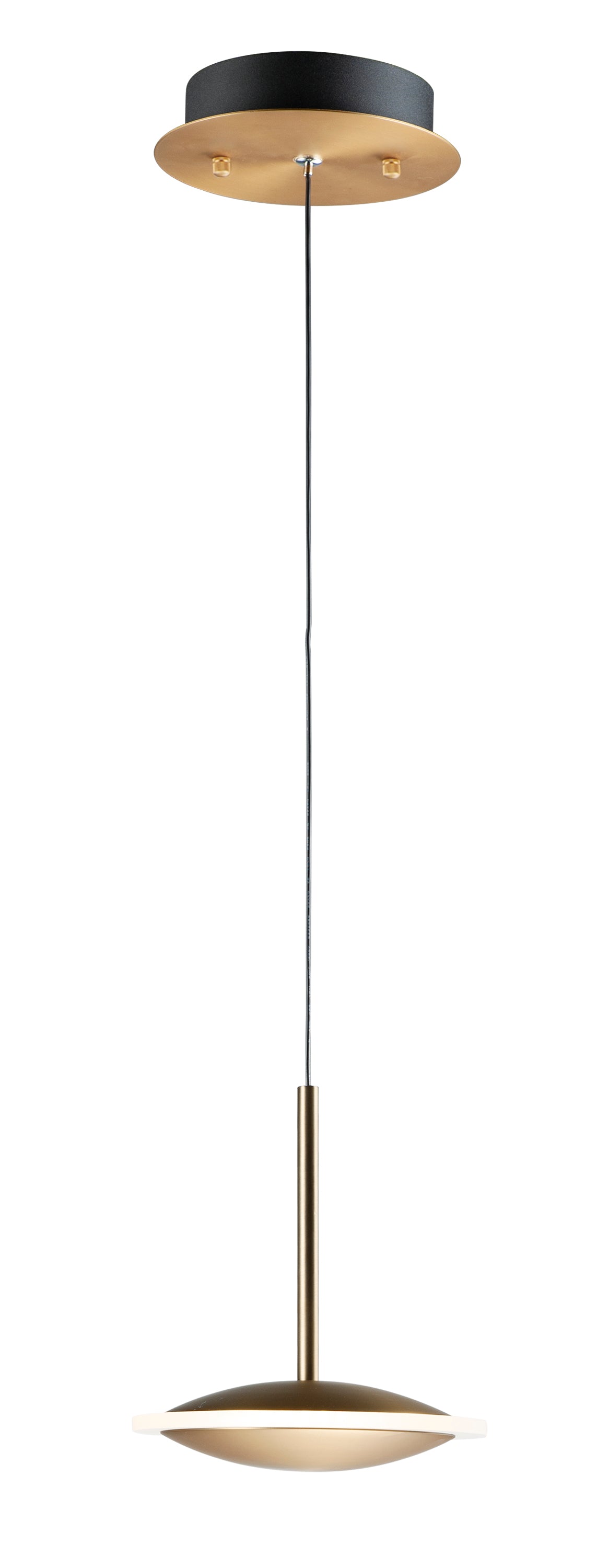 Saucer LED Pendant E21541-90BKGLD Single Pendant