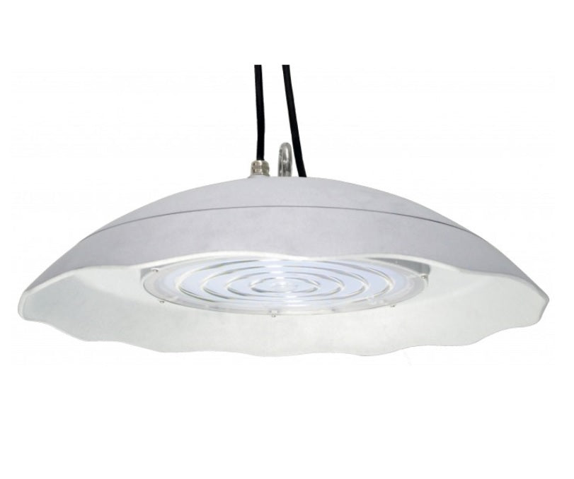 NSF LED Food Service & Laboratory High Bay | 200W | 100-277V | IP-Rated for Clean Environments