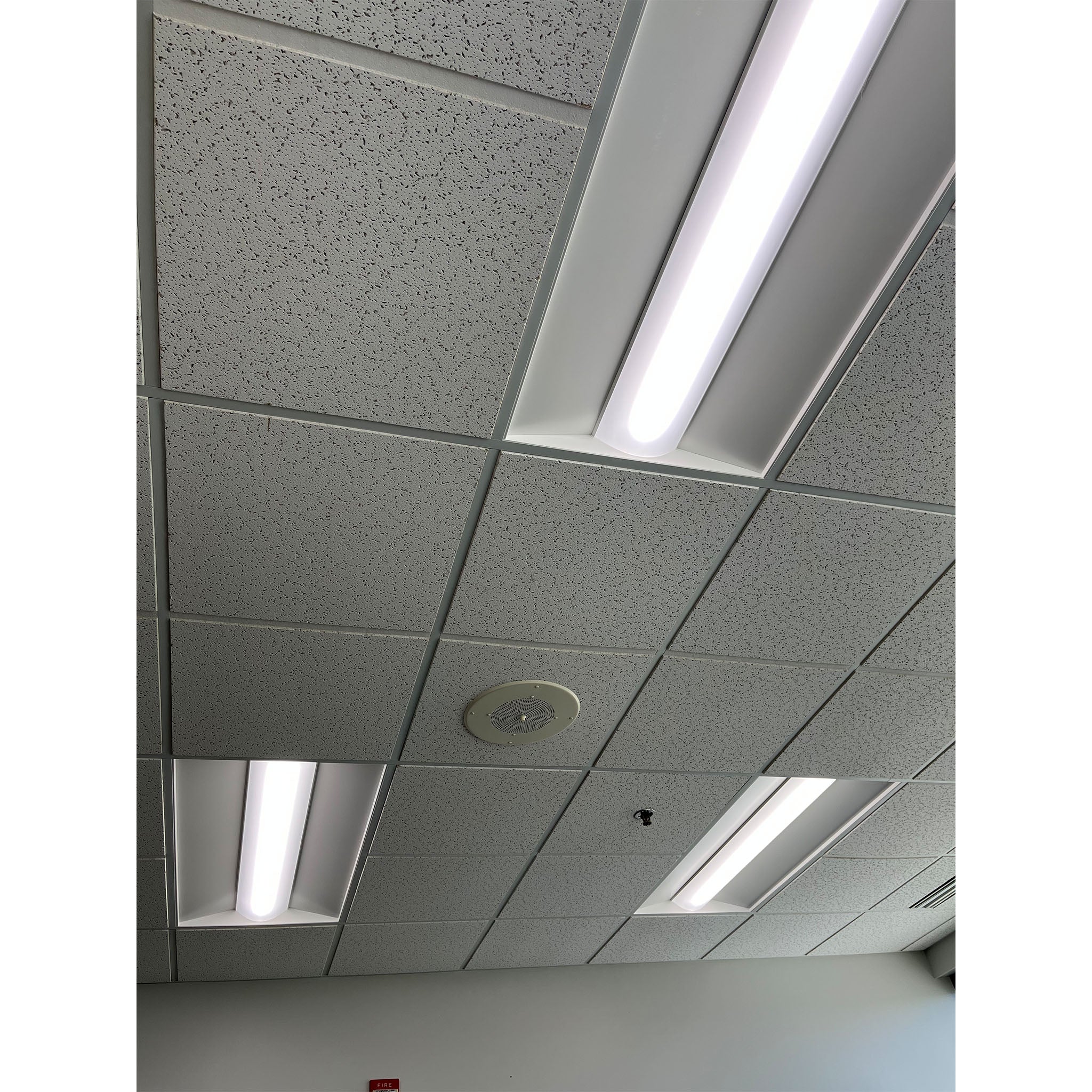 2 x 4 Foot Concord G4 LED Center Basket Troffer, 5600 Lumens, Wattage and CCT Selectable, 0-10 Dim Option, 120-277V