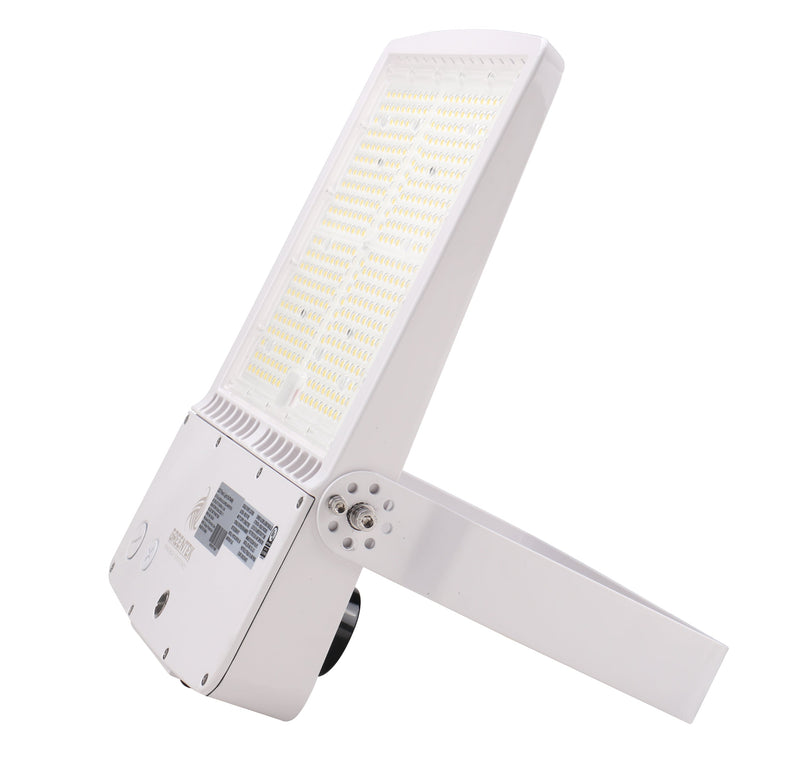 LED Flood Light - FL4 - 300W - 43500LM -  Flood Mount - White - DLC