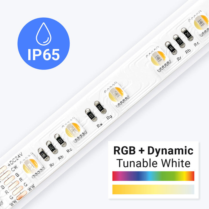 Outdoor (IP65) ColorBright™ RGB + Dynamic Tunable White Series LED Strip Light