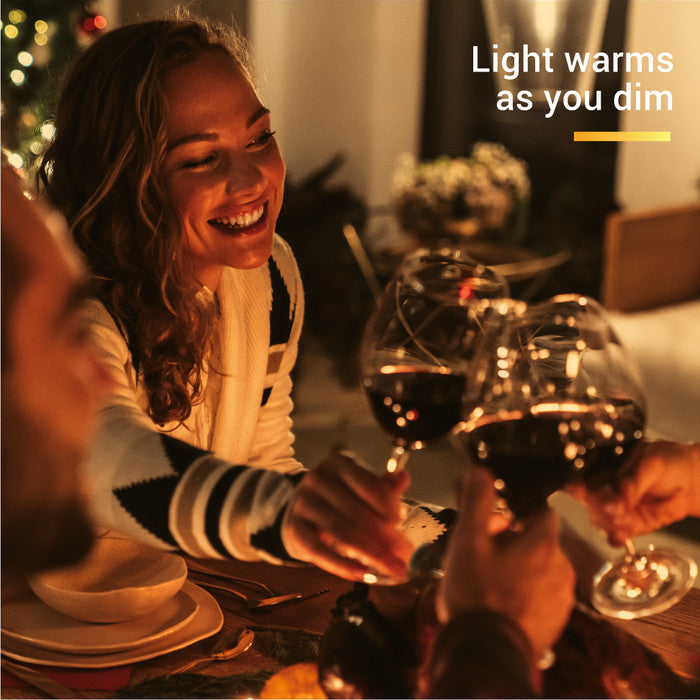 UltraBright™ Sienna Dim-to-Warm Series LED Strip Light