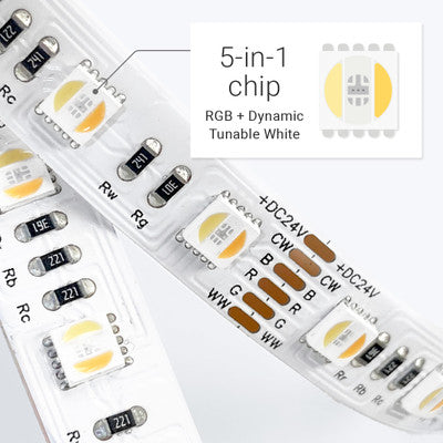 Outdoor (IP65) ColorBright™ RGB + Dynamic Tunable White Series LED Strip Light